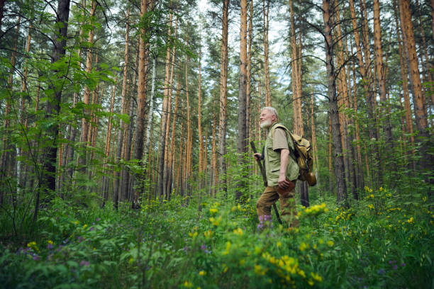 istock Elderly Forester Walking Along Pine Woods 2159669383