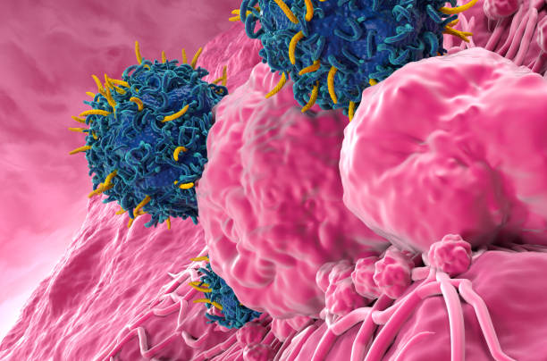 istock CAR T cell therapy in Thyroid cancer - closeup view 3d illustration 2159669832