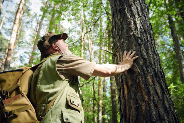 istock Man Touching Bark of Tree in Forest 2159670587