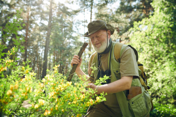 istock Joyful Forester Touching Cytisus Plant 2159670956