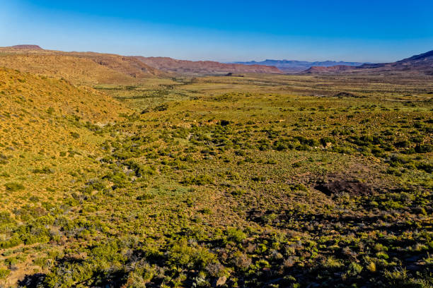 istock Landscape of Karoo mountains and valley 2159671131