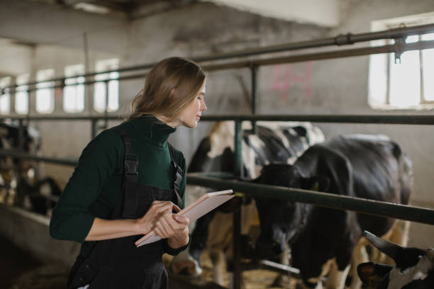 istock A young female farmer in a cowshed with a tablet in her hands. 2159672714