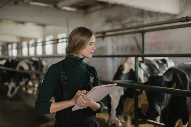 istock A young female farmer in a cowshed with a tablet in her hands. 2159672750