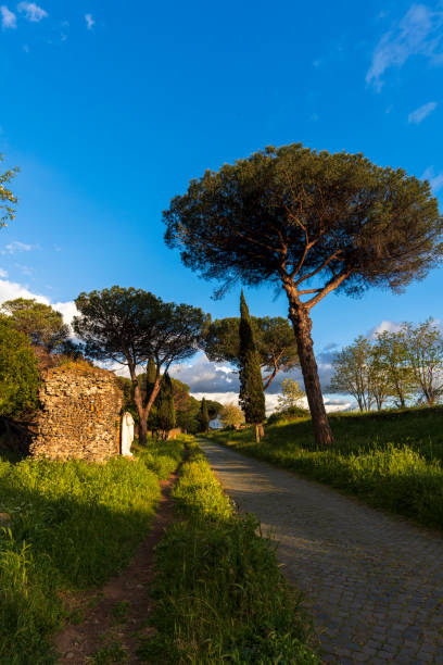 Ruins adorns the ancient roman road surrounded by pine trees and cypresses at sunset, Rome, Latium, Italy