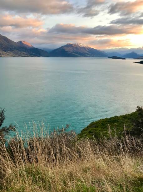 istock New Zealand Countryside 2159678123
