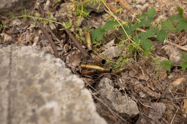 istock several large and small bullet casings on the grass 2159681753