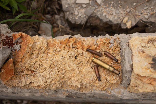 A cluster of spent bullet casings scattered across gravel and rocks, captured in sharp detail with a shallow depth of field.