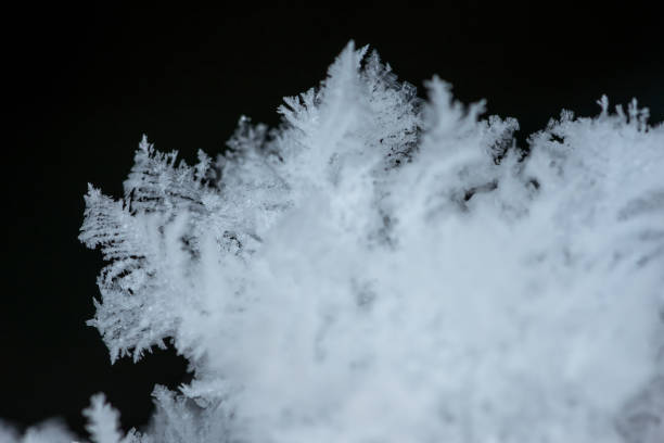 Winterwonderland