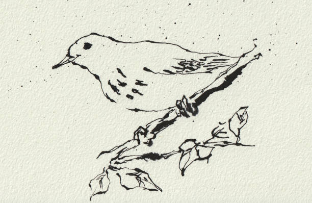Bird perched on a twig, monochrome illustration drawn with a pen, watercolor paper texture
