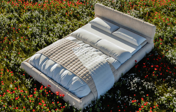 istock Bed in a grass field, good sleep, 3D illustration 2159694238