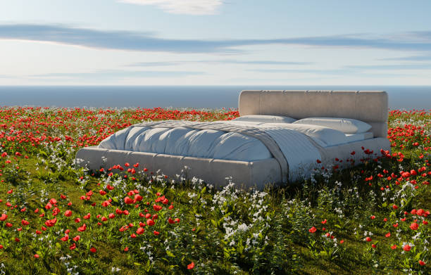 istock Bed in a grass field, good sleep, 3D illustration 2159694239