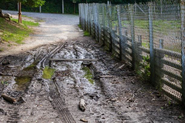 istock Forest landscape. Muddy path by water. Stream after rain. 2159697413
