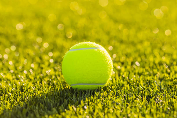 Close-up shot of Messy Padel Balls Inside Court