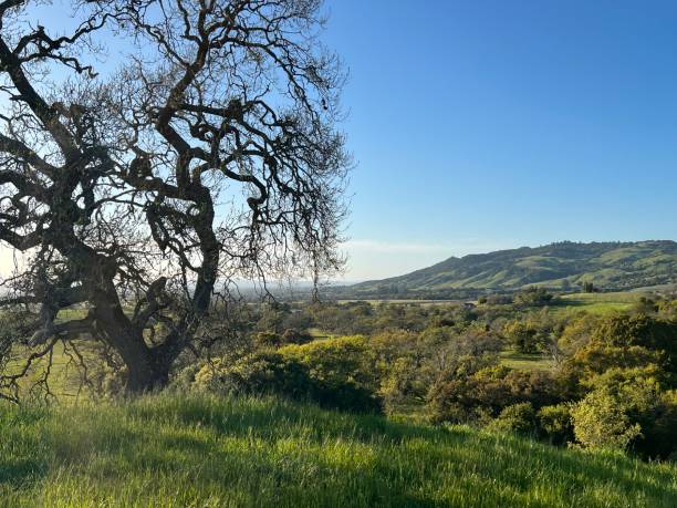 istock Crane Creek Regional Park, Sonoma County, CA 2159704590