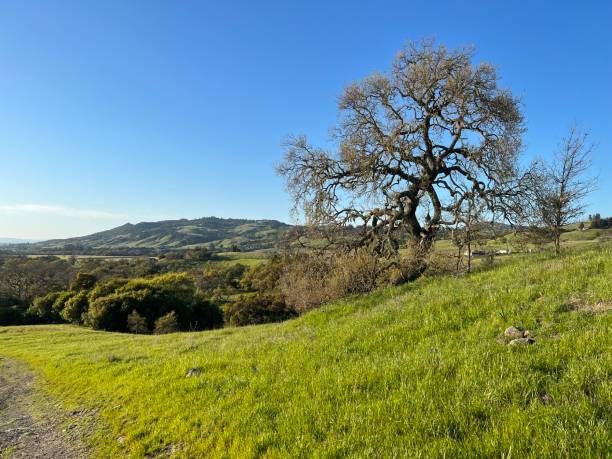 istock Crane Creek Regional Park, Sonoma County, CA 2159704599
