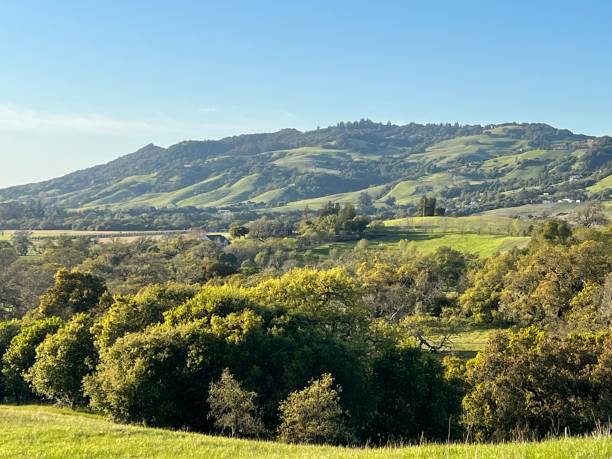 istock Crane Creek Regional Park, Sonoma County, CA 2159704600