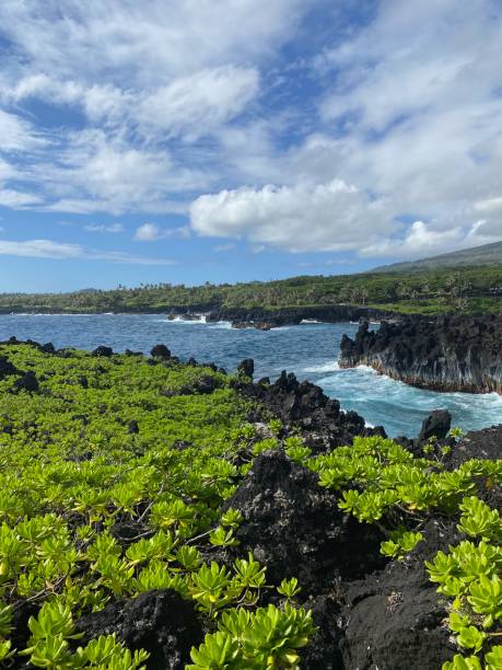 istock Beautiful Volcanic Beach on Maui 2159708563