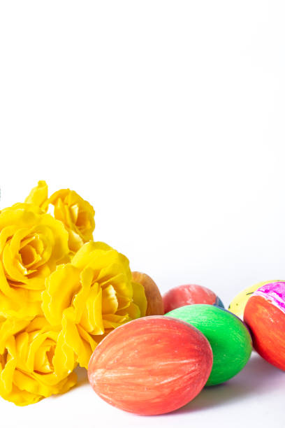 Colorful easter eggs and yellow tulips isolated on white background. Easter concept.