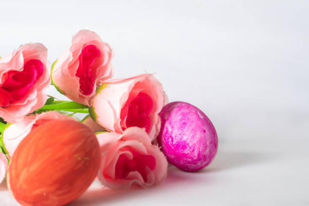 Easter eggs and pink rose flowers on a white background with space for text. Easter concept.