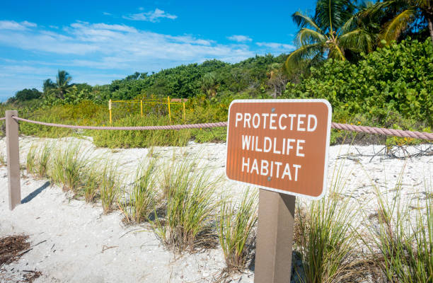 A marker indicating the location of a sea turtle nest site on the beach in Sanibel, Florida