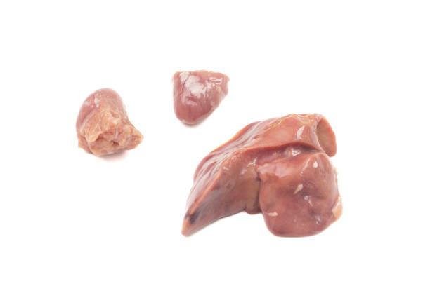 Three Raw Chicken Organs for Cooking Isolated on a White Background