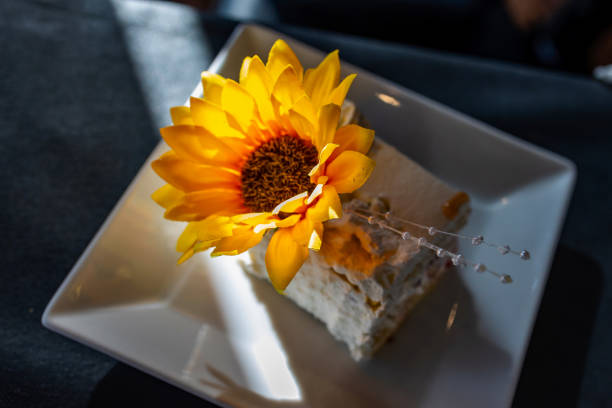 A vibrant sunflower resting on a slice of light, fluffy cake on a white square plate, creating an inviting and artistic presentation.