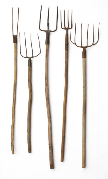 istock old pitchfork for hay isolated on white background 2159725571