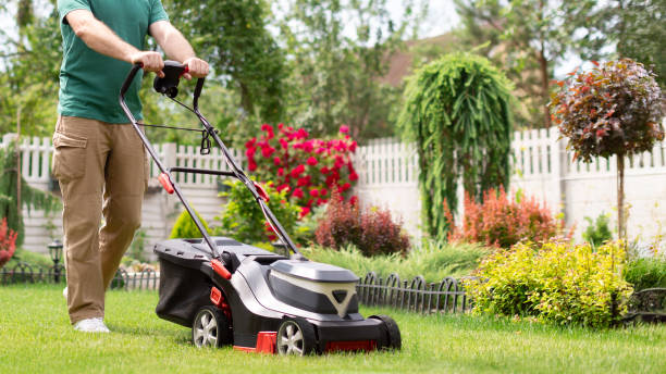 istock Man using lawnmower for mowing grass on his backyard, cropped shot, free copy space 2159726984