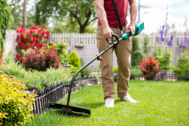 istock Gardening concept. Man cutting the lawn with cordless grass trimmer, edger, using modern garden equipment at private backyard 2159729754