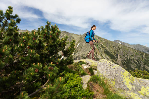 istock Woman hiker do trekking activity in mountains with panoramic nature range landscape. Motivation leisure sport and discovery travel concept 2159731101