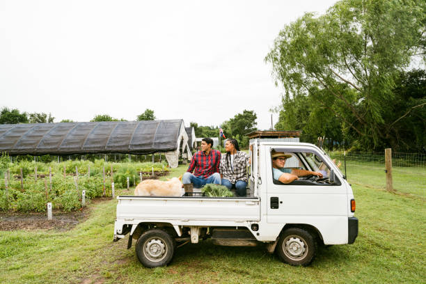 Couple doing eco tourism in an Organic Farm