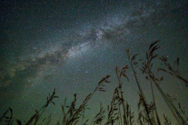 istock Milky Way From the Ground in NY 2159731319