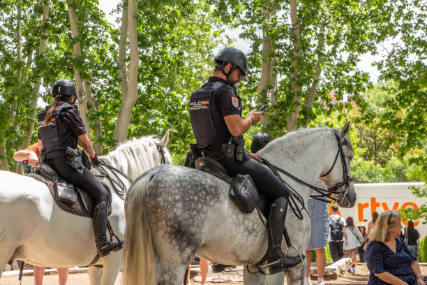 Two spanish National Police officers, man and woman, on horses and one of them using phone. Madrid 06.19.2024, Madrid, Spain: Two spanish National Police officers, a man and a woman, on white horses and one of them using his phone police policewoman women spain stock pictures, royalty-free photos & images