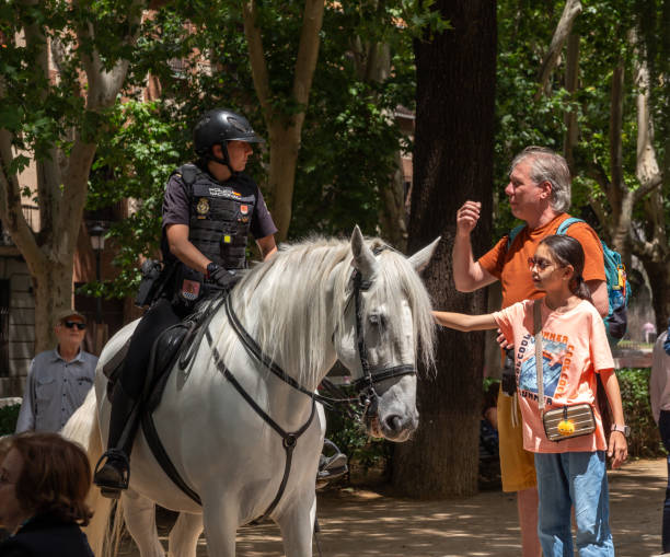 Female National Police officer on horseback talking to man and child touching horse in Madrid 06.19.2024, Madrid, Spain: Female National Police officer mounted on white horse talking to older man and small girl touching the horse police policewoman women spain stock pictures, royalty-free photos & images