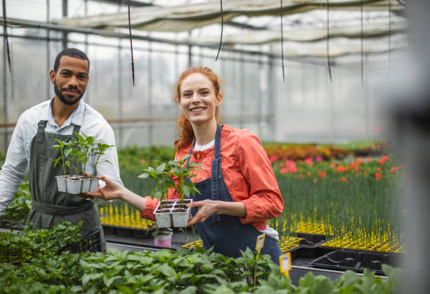 istock Diverse Team Cultivating Plants at Garden Nursery 2159740115