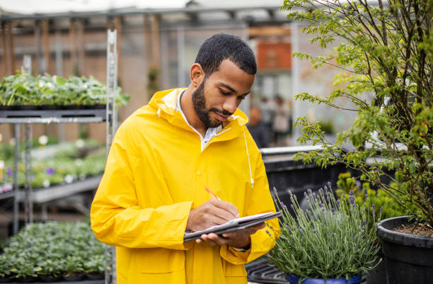istock Focused Gardener Organizing Plant Inventory 2159740120