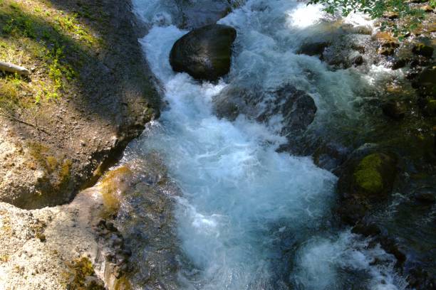 istock Stream flowing in a ravine surrounded by lush foliage 2159742557