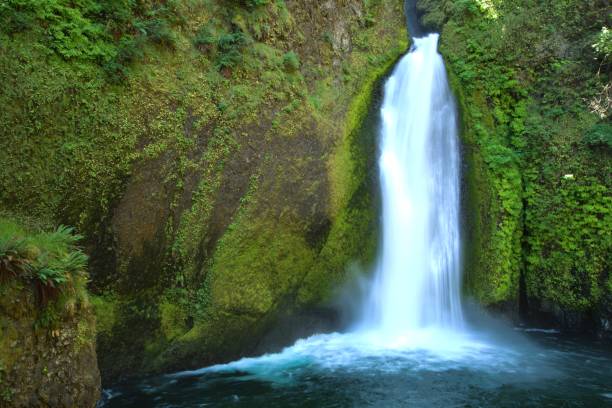 istock Massive waterfall cascades down a mossy lush rock wall into a large still pool 2159742565