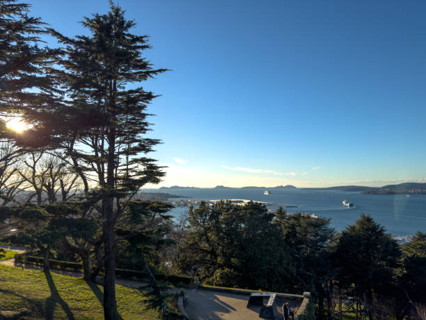 istock Sunrise View Over Sea with Silhouetted Trees 2159745802