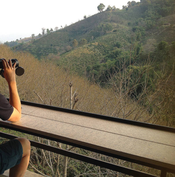 istock Birder's Paradise: Spotting Treasures in Mae Hong Son 2159748389
