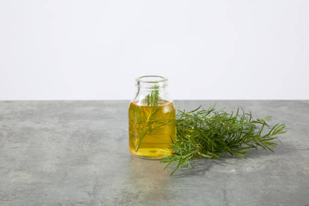 istock Front close up photo on white background, a glass bottle displayed on a gray countertop, containing yellow liquid of tea tree oil and some small tea tree branches in, next to a bush of tea tree 2159760186