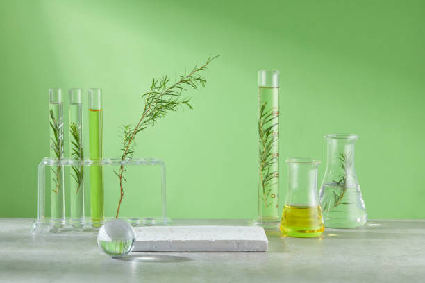 istock Laboratory layout on green background with tea tree plants. Lab equipments neatly arranged on the gray table, blank platform in the middle for product showing, copy space for text 2159760321