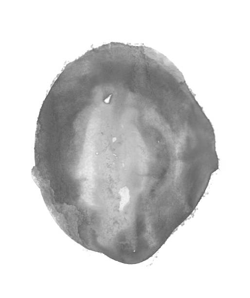 istock Watercolor blot brush isolated on white background for art design concept 2159765116