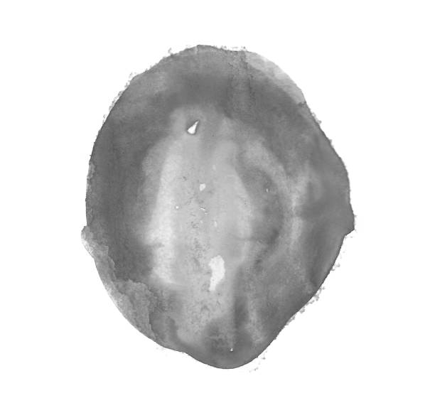 istock Watercolor blot brush isolated on white background for art design concept 2159765180