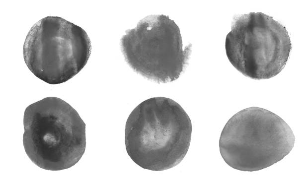 istock Watercolor blot brush isolated on white background for art design concept 2159765200
