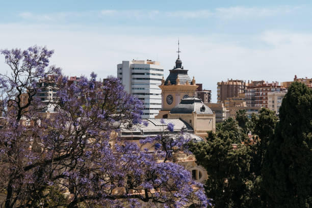 istock Malaga cityscape with beautiful cathedral with clock, Spain. 2159771376