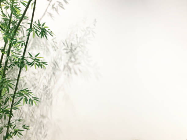 istock Background of Chinese style bamboo 2159771384