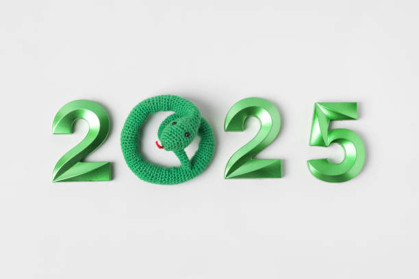 istock Knitted green snake and the numbers 2025 2159771424