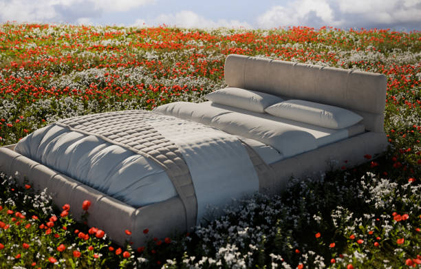 istock Bed in a grass field, good sleep, 3D illustration 2159771816