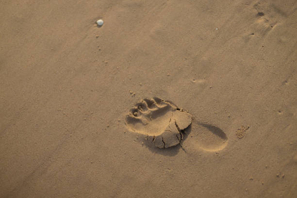 A lone footprint in the sand left behind on a summer beach walk